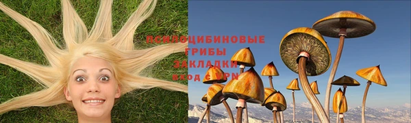 а пвп мука Ладушкин