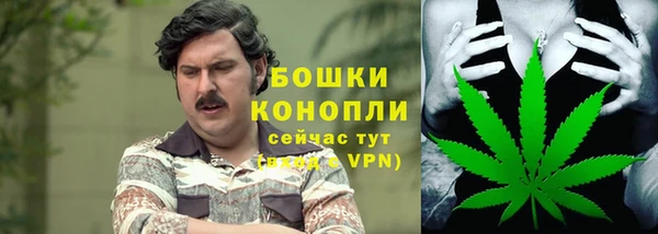 ALPHA PVP Михайловск