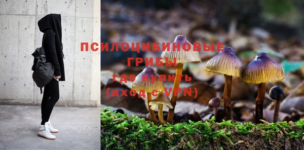 шишки Михайловка
