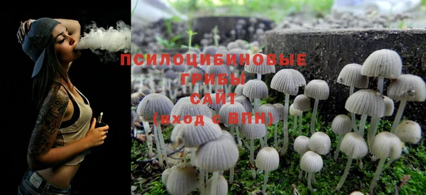 шишки Михайловка