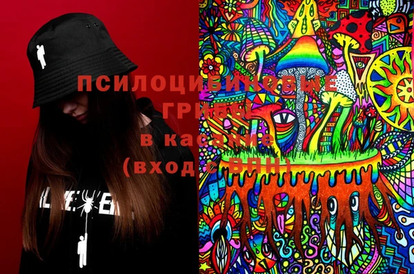 шишки Михайловка