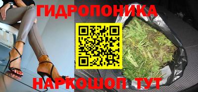 ПСИЛОЦИБИНОВЫЕ ГРИБЫ Бийск