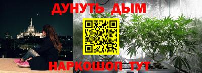 дурь Можга