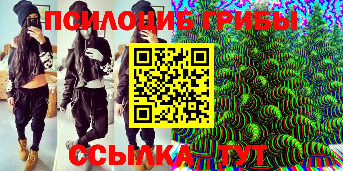 Галлюциногенные грибы Psilocybe Вологда