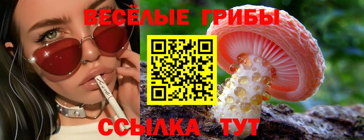 Вологда  Псилоцибиновые грибы ЛСД  где найти наркотики  Вход с VPN 